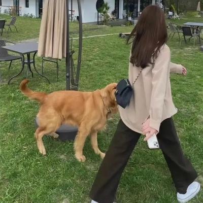孤儿